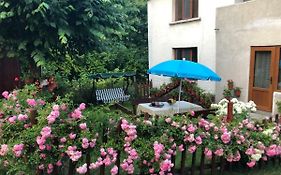 Guest House Emmy