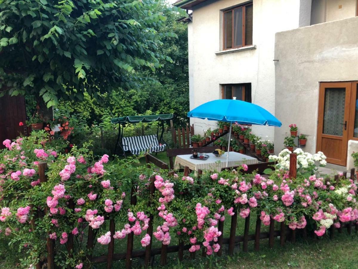 Guest House Emmy Тріґрад Екстер'єр фото